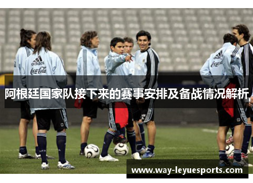 阿根廷国家队接下来的赛事安排及备战情况解析